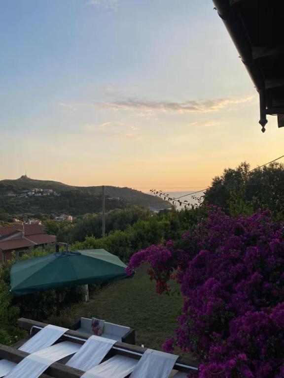 Le Canfore – foto 13