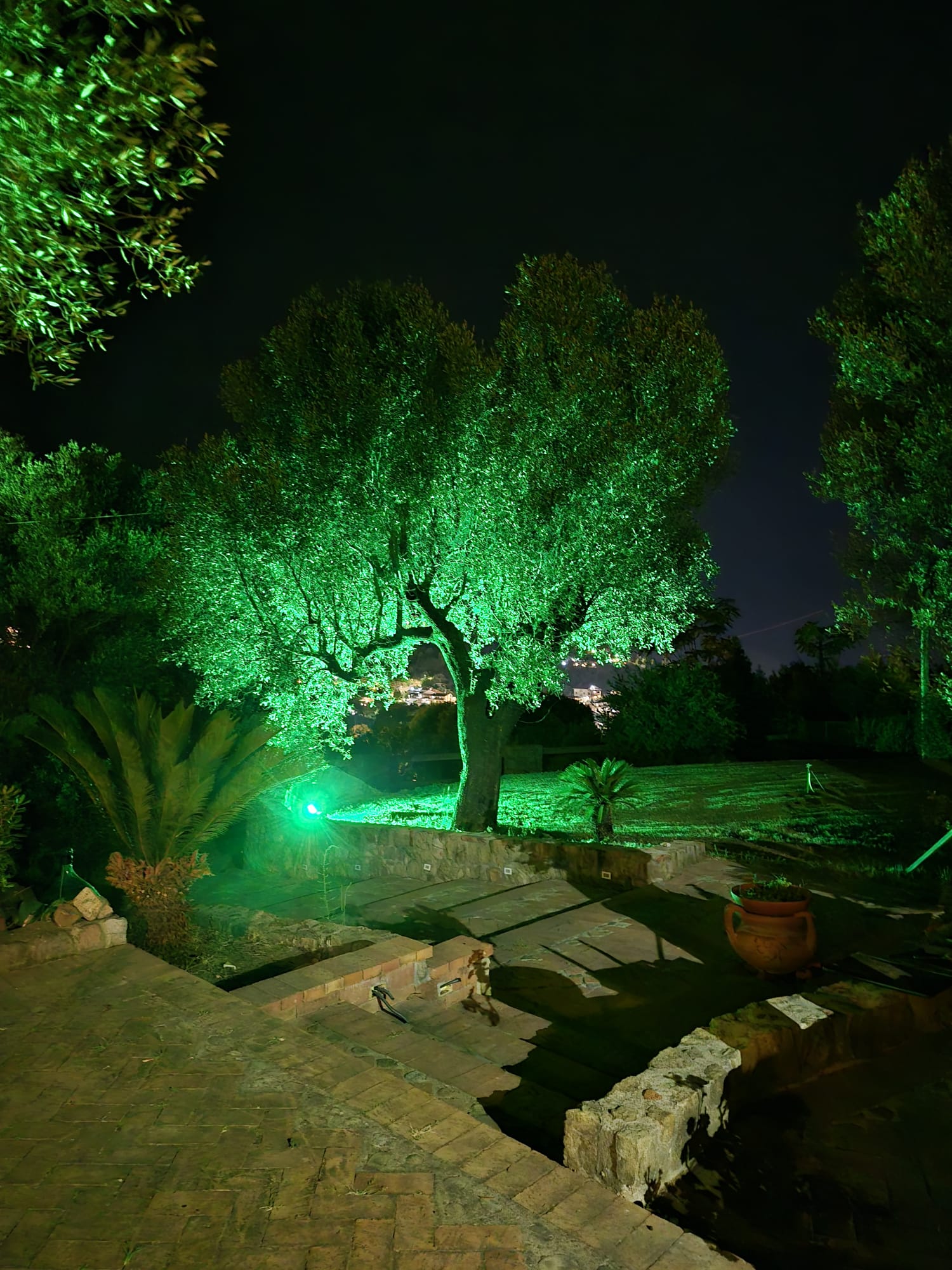 Le Canfore – foto 2